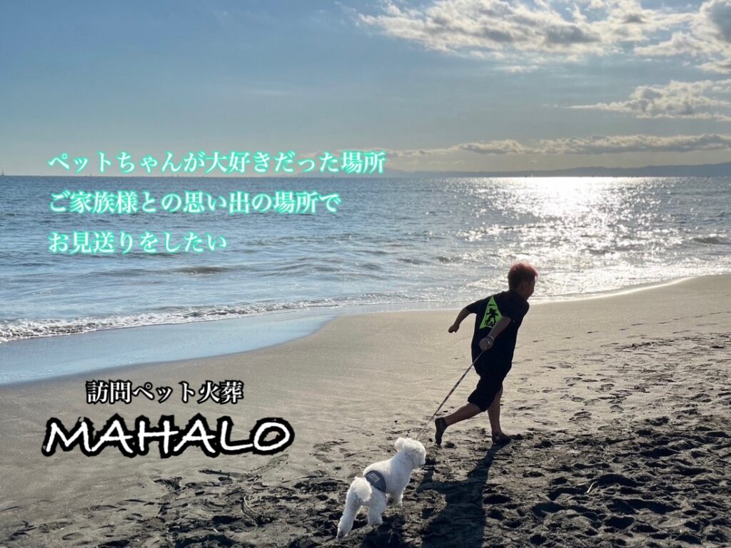 厚木市訪問ペット火葬MAHALO