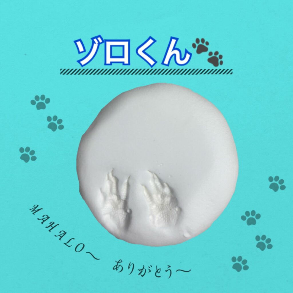 デグー足型