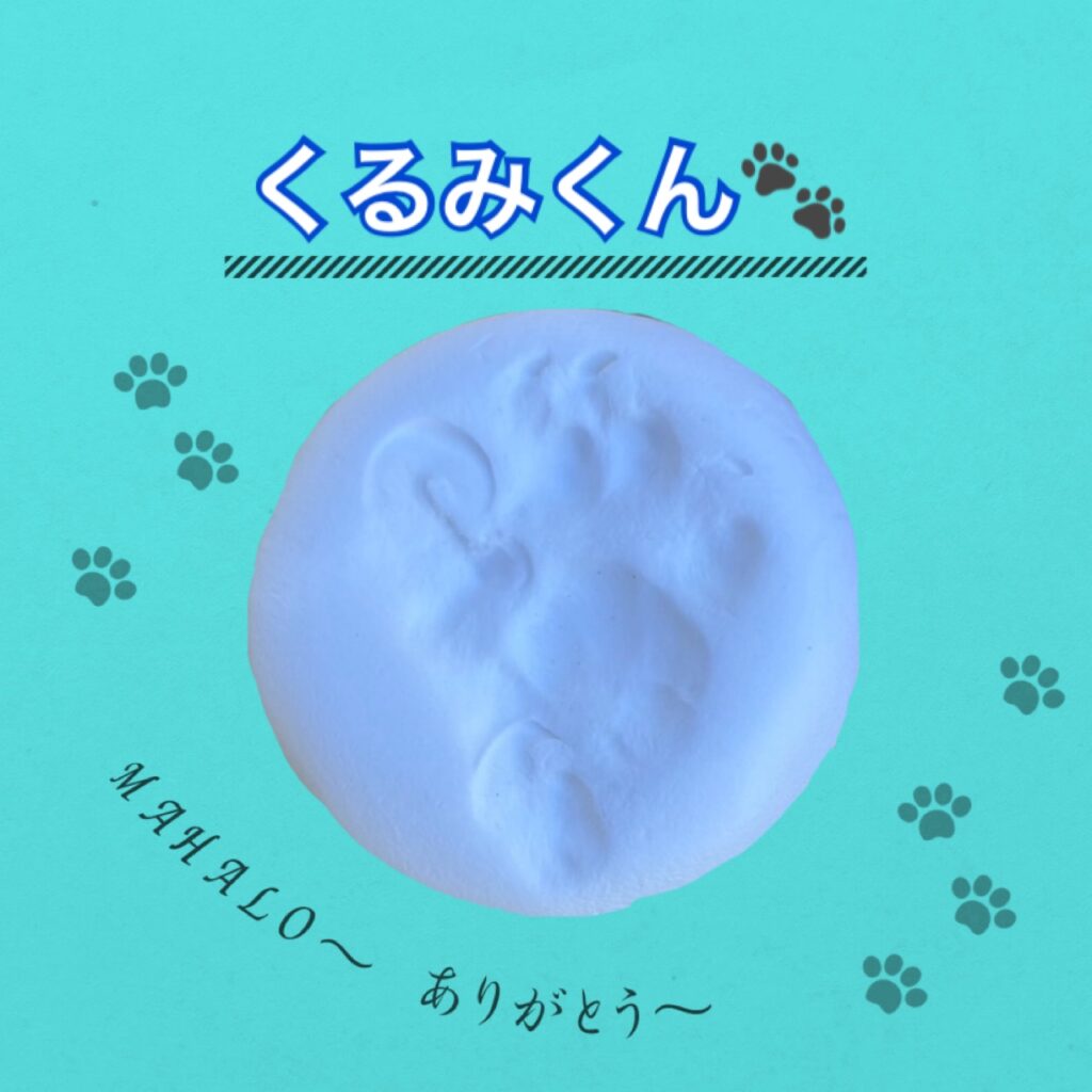 ねこ足型・手型