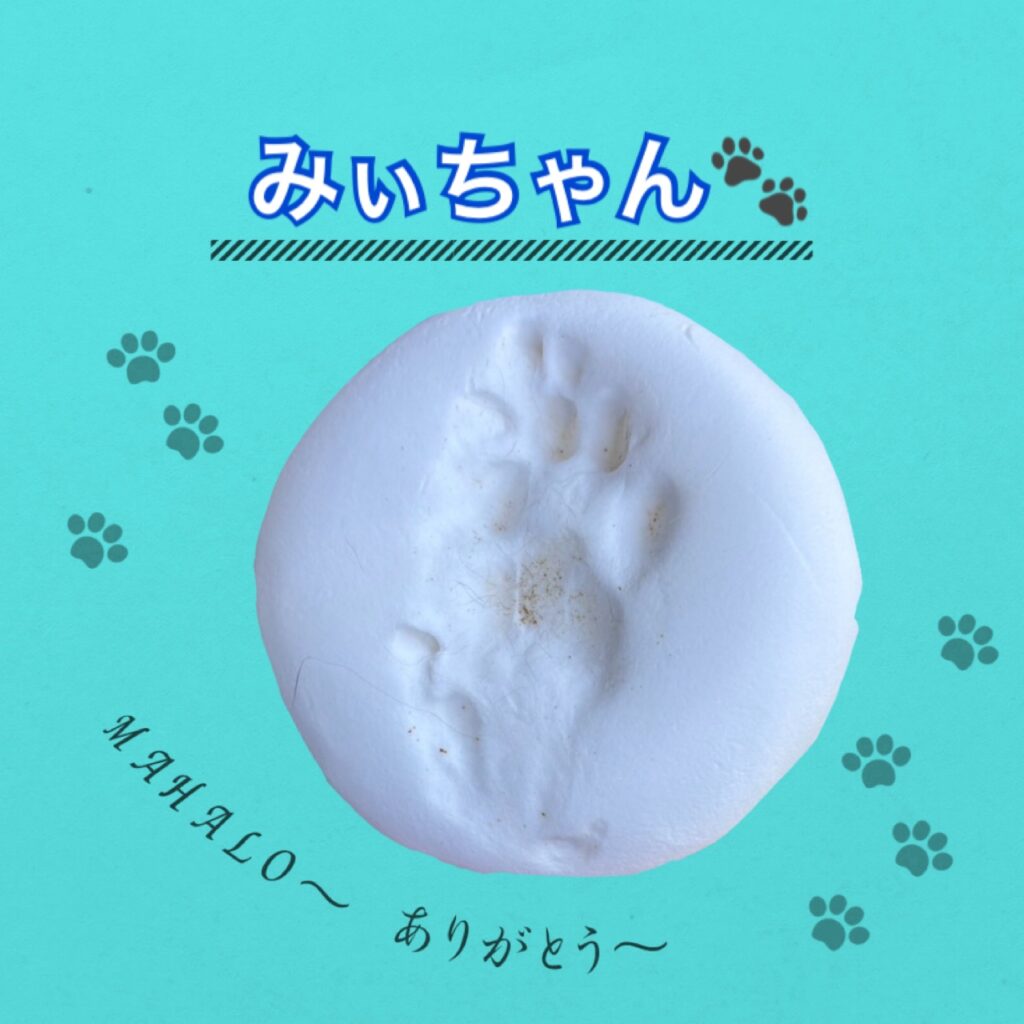 猫の足型・手型