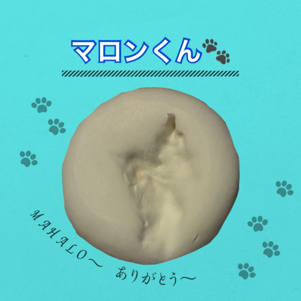 うさぎ足型・手型