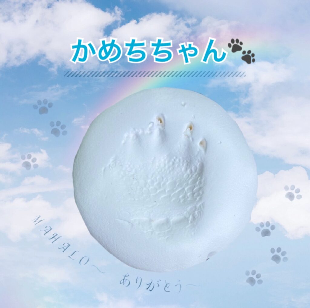 かめ　足型・手型