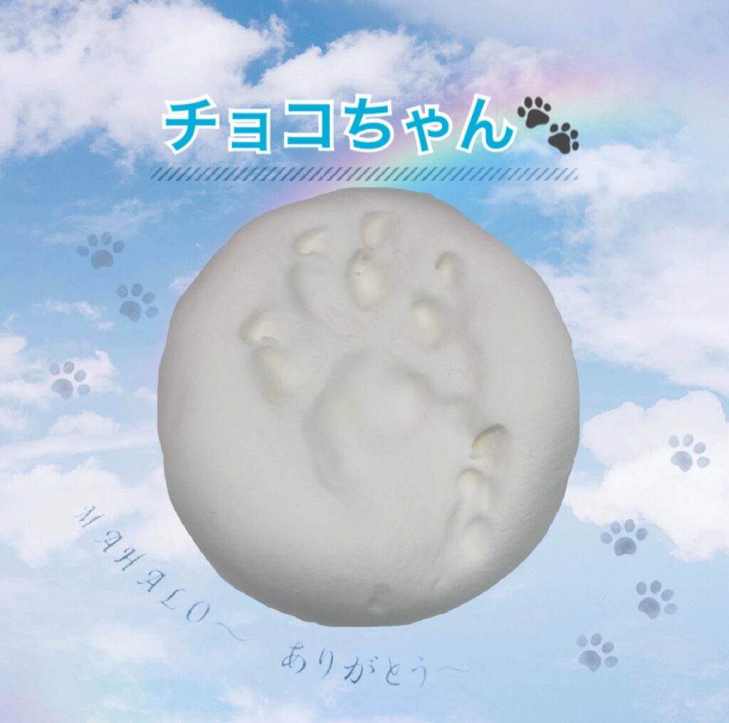 猫足型・手型