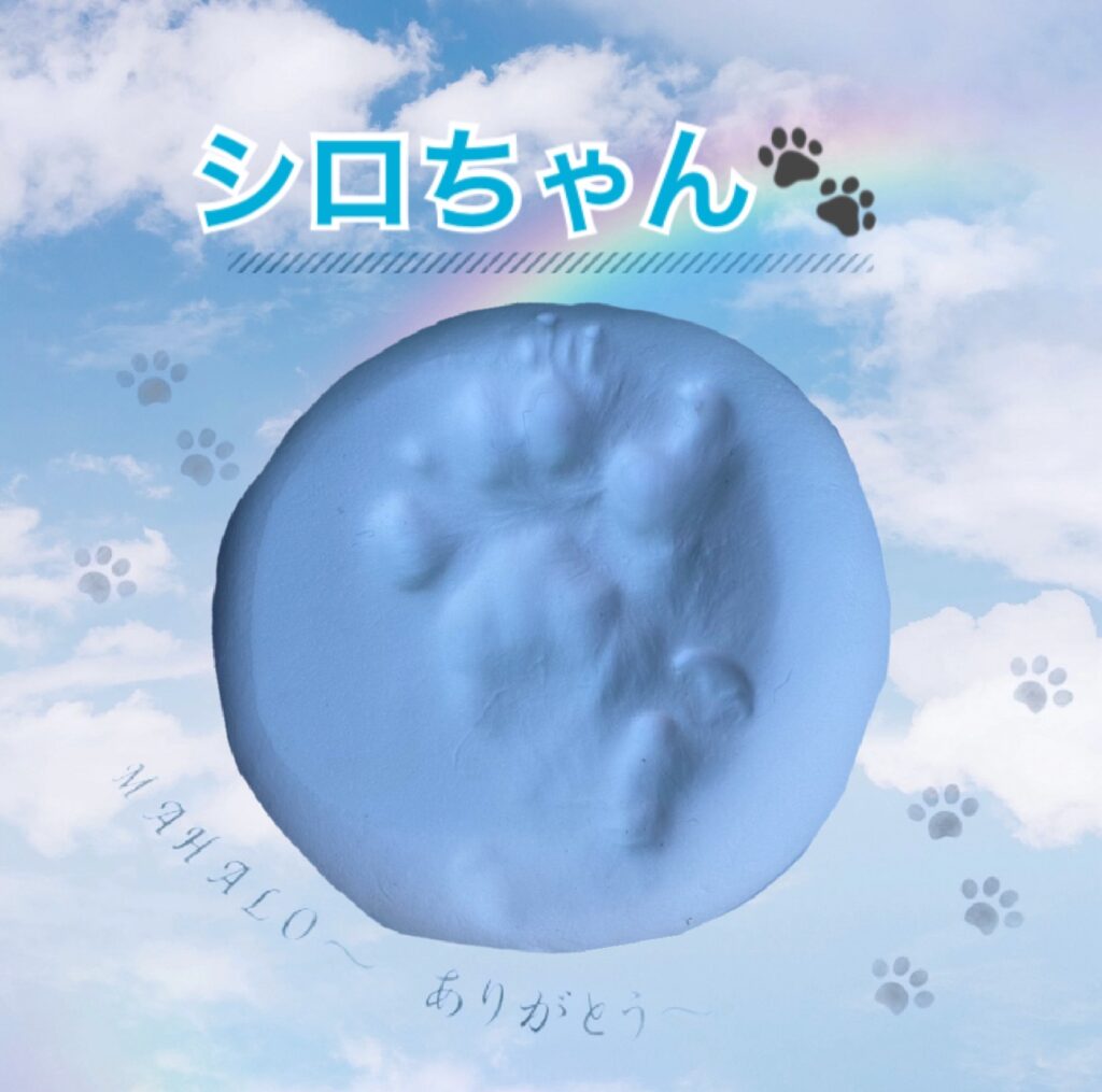 猫足型・手型