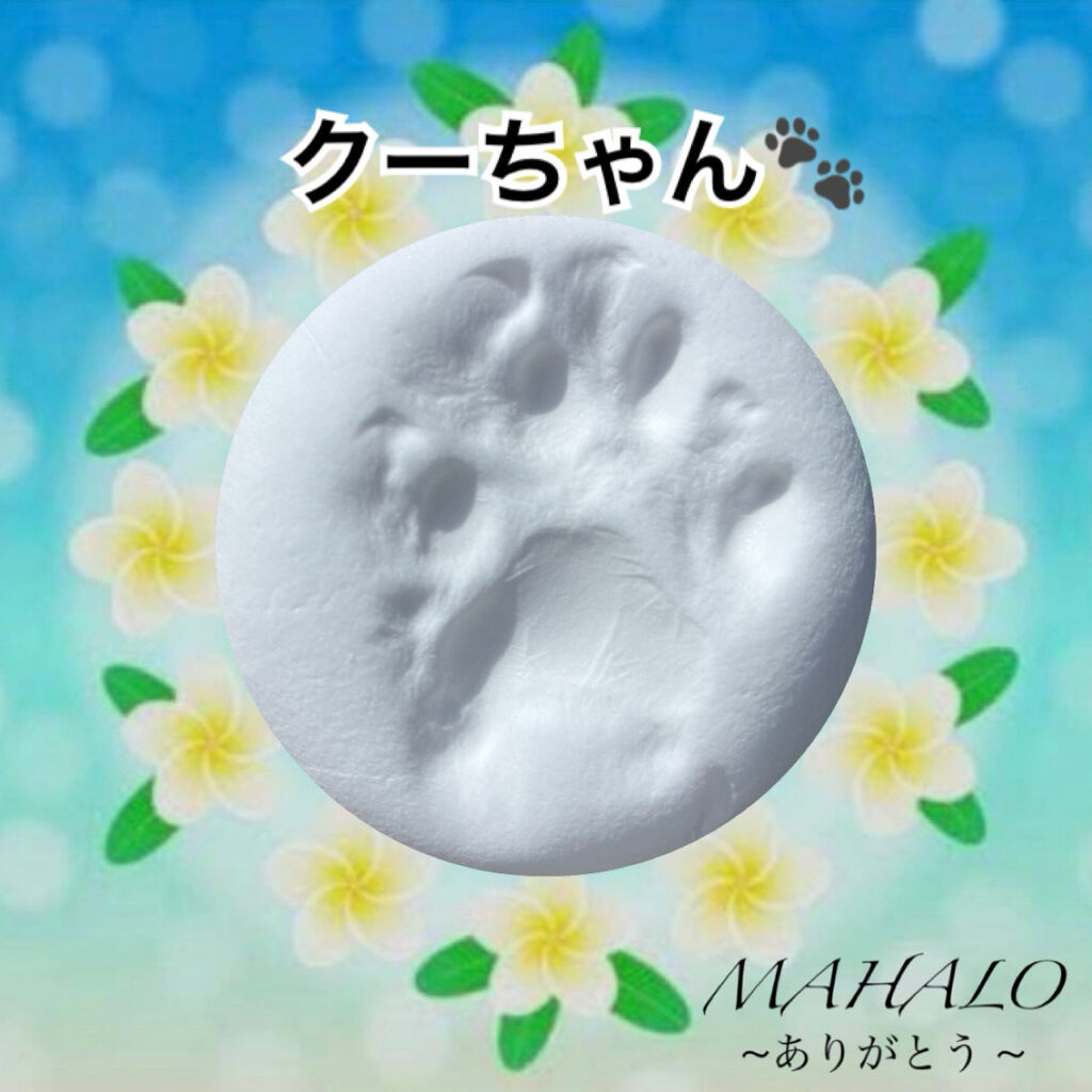 猫足型・手型