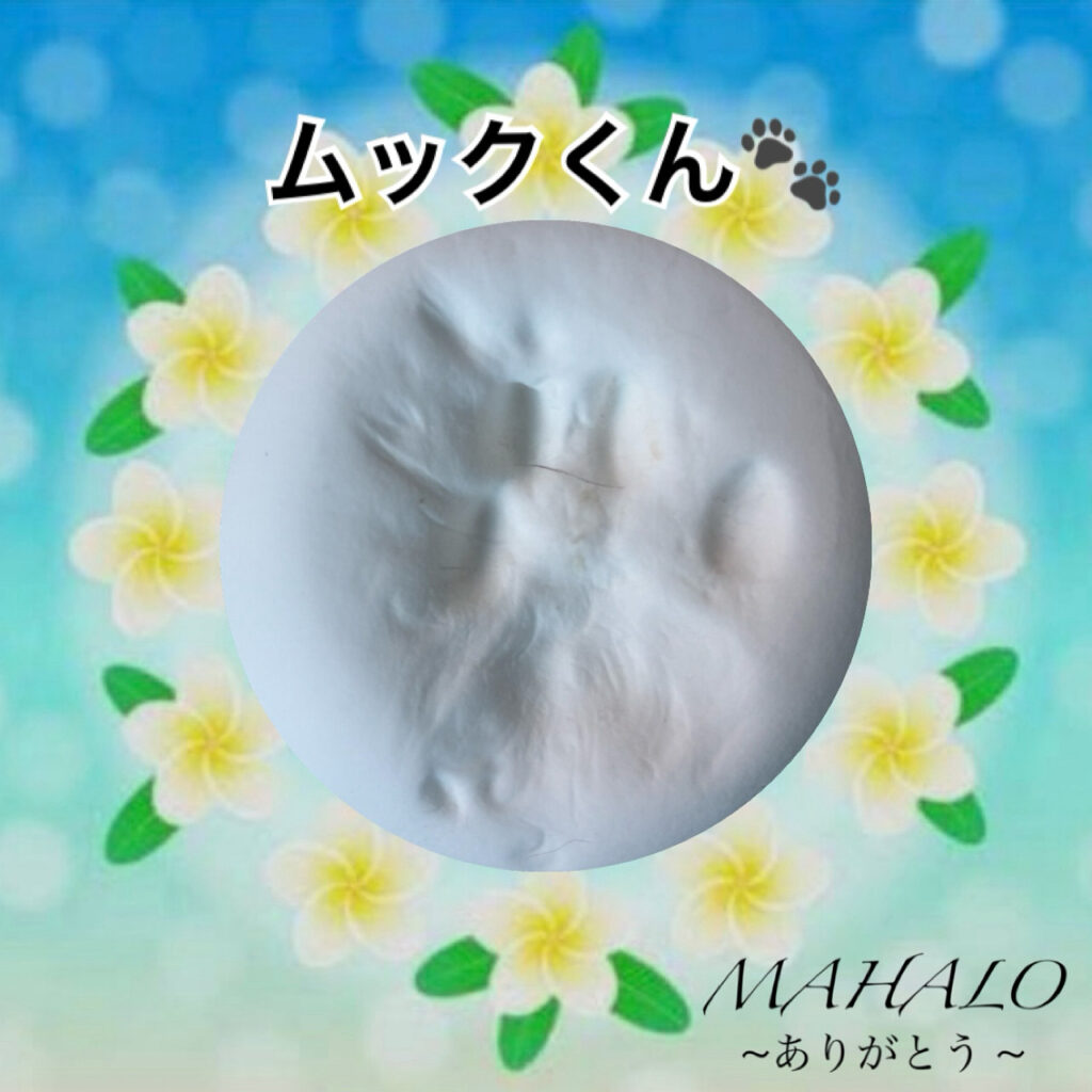 猫足型・手型