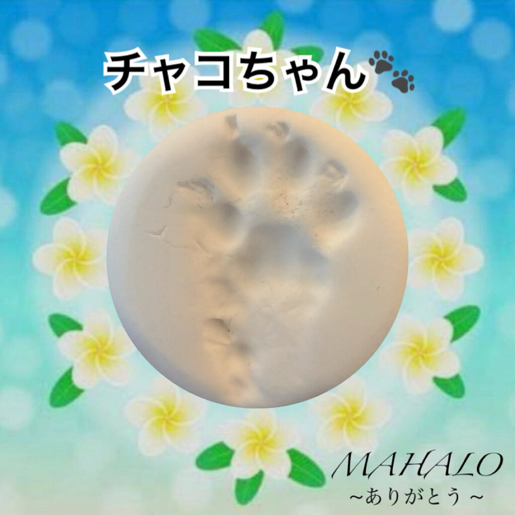 猫足型・手型