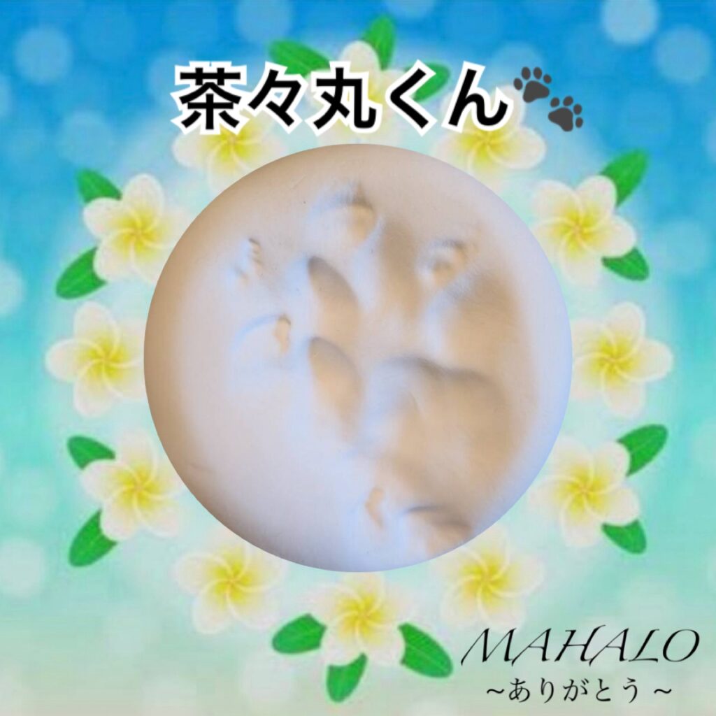 猫足型・手型