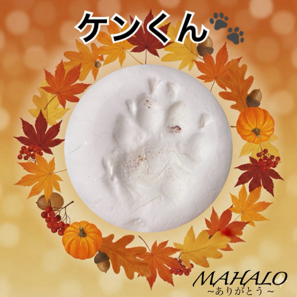 ミニチュアダックスフンド足型・手型