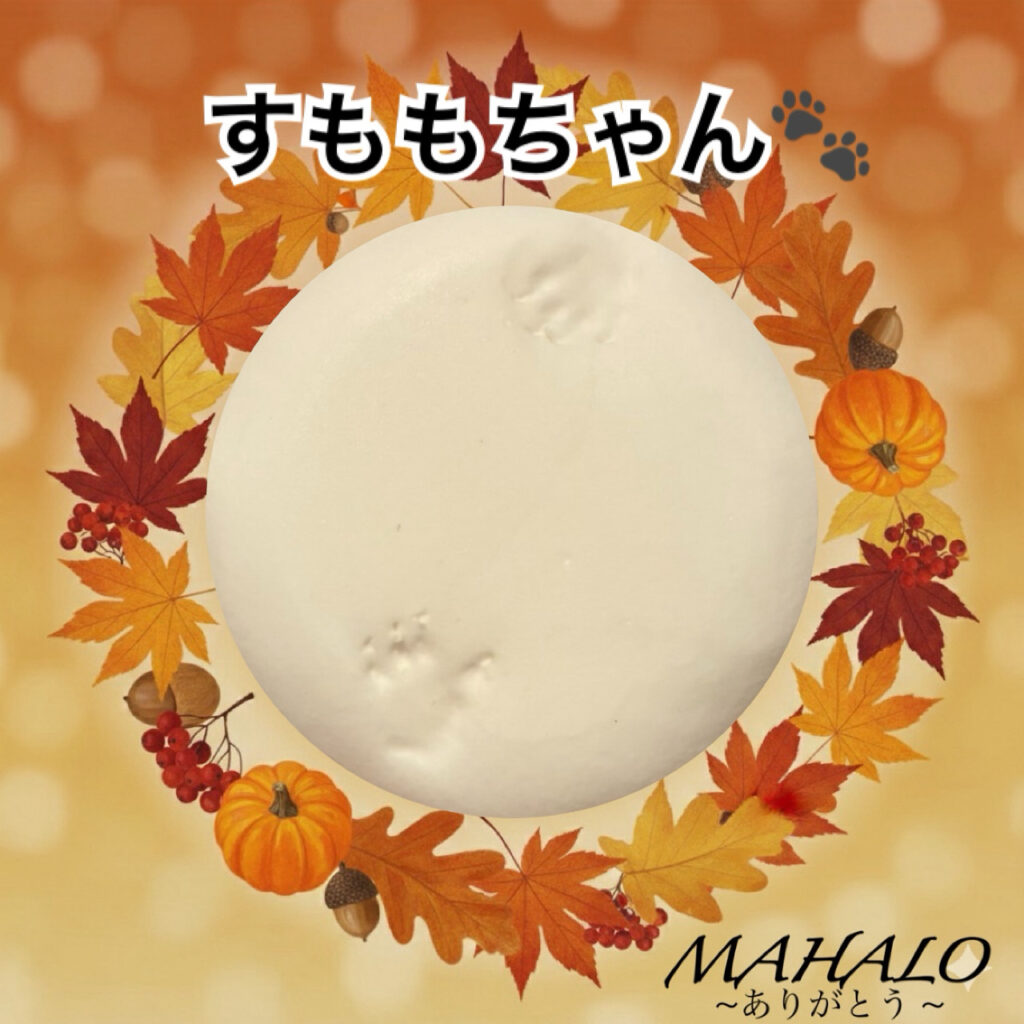 ジャンガリアンハムスター足型・手型