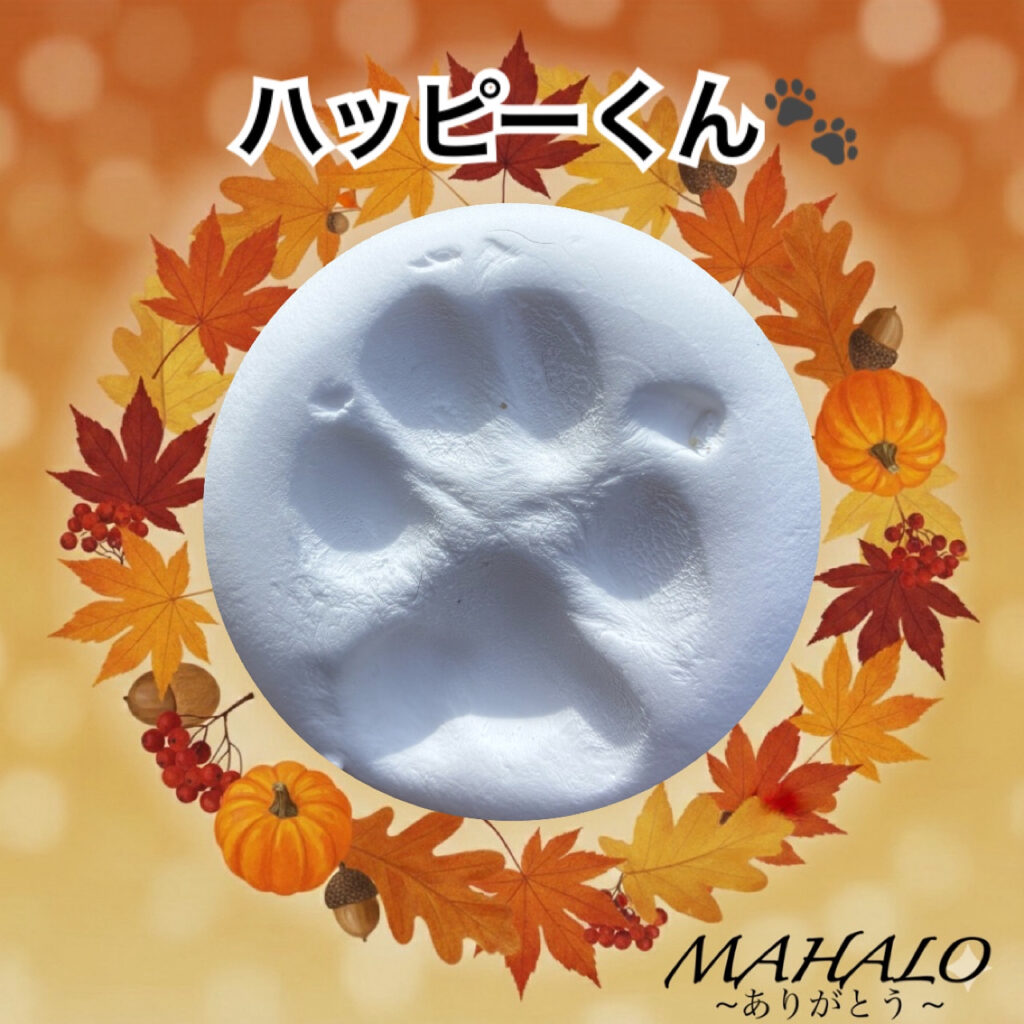 ゴールデンレトリバー×オーストラリアケルピー足型・手型