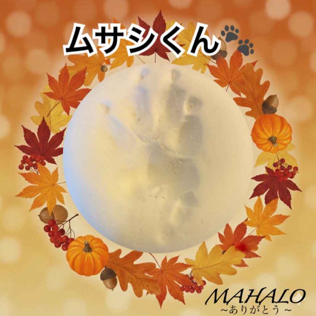 チワワ足型・手型