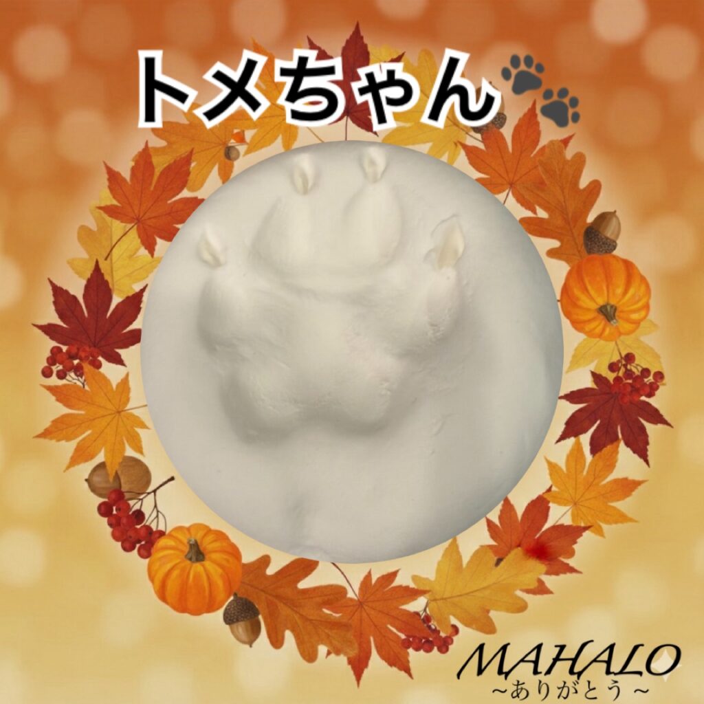 フレンチブルドック足型・手型