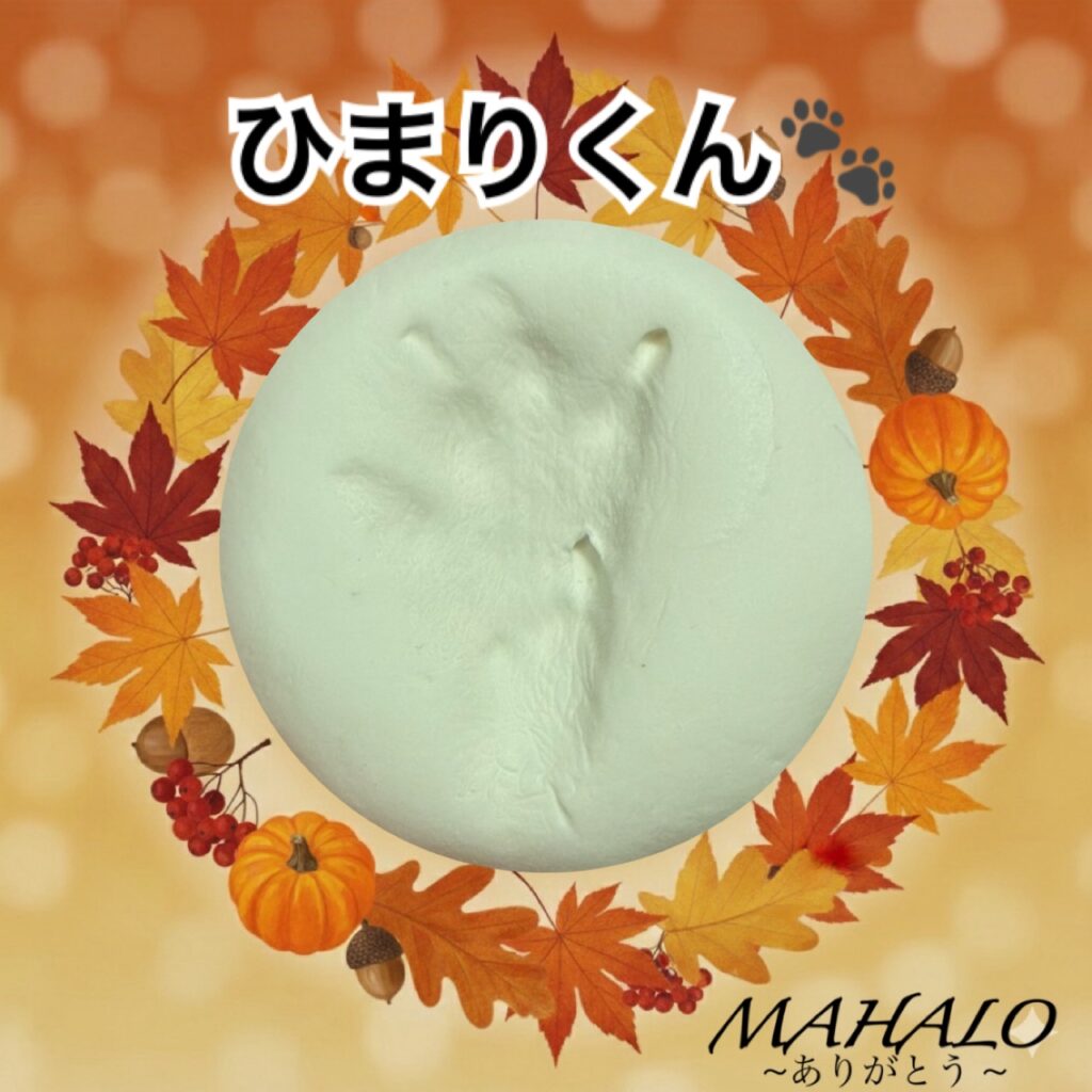 うさぎ足型・手型