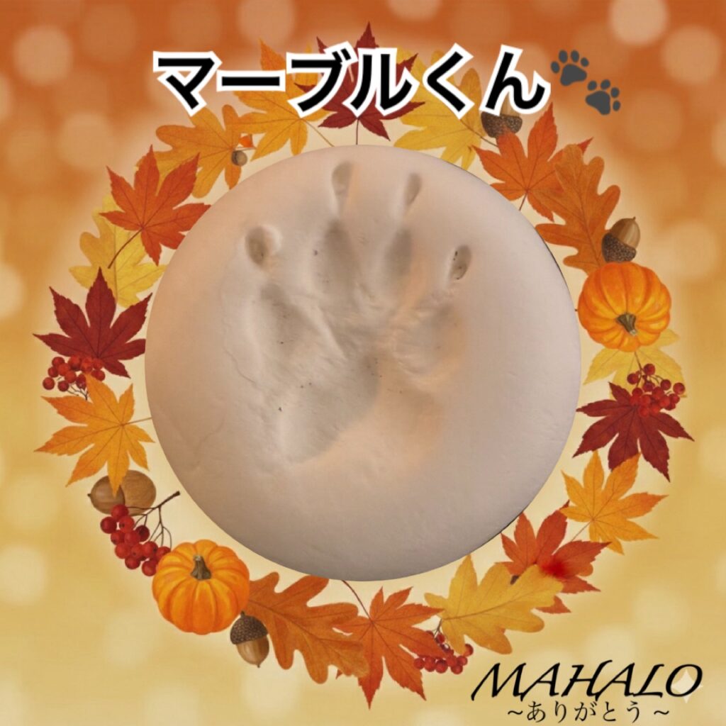 チワワ足型・手型