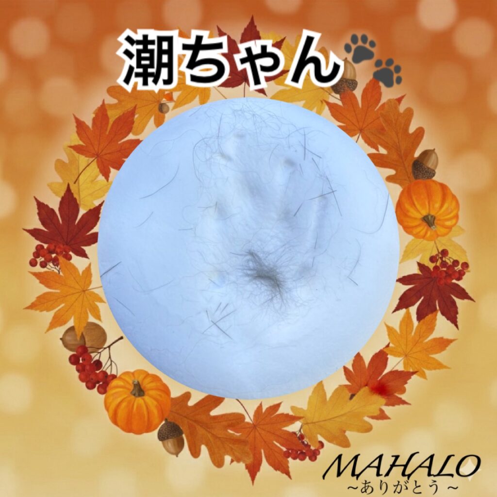 うさぎ足型・手型