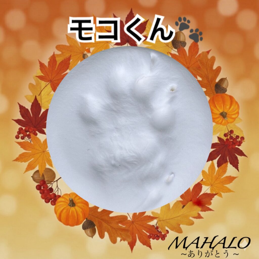 猫足型・手型