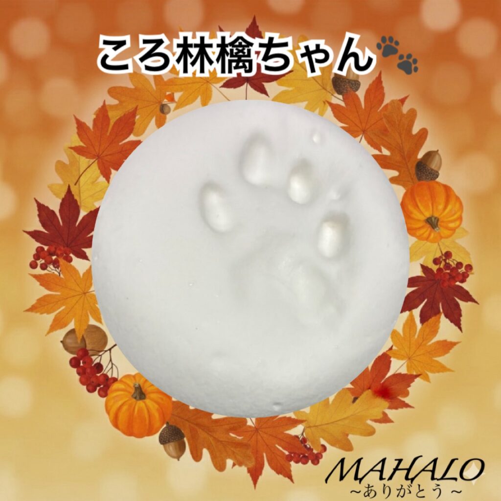 猫足型・手型