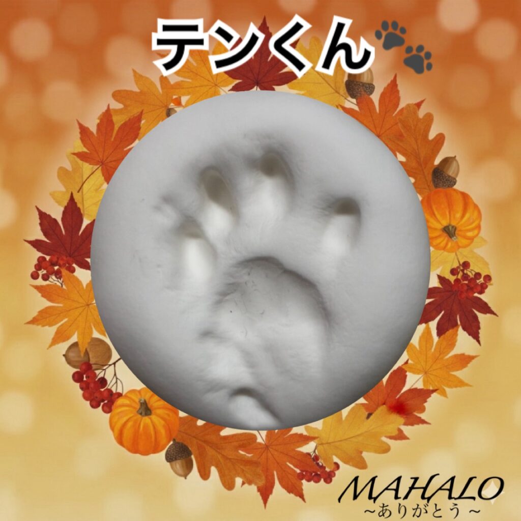 猫足型・手型
