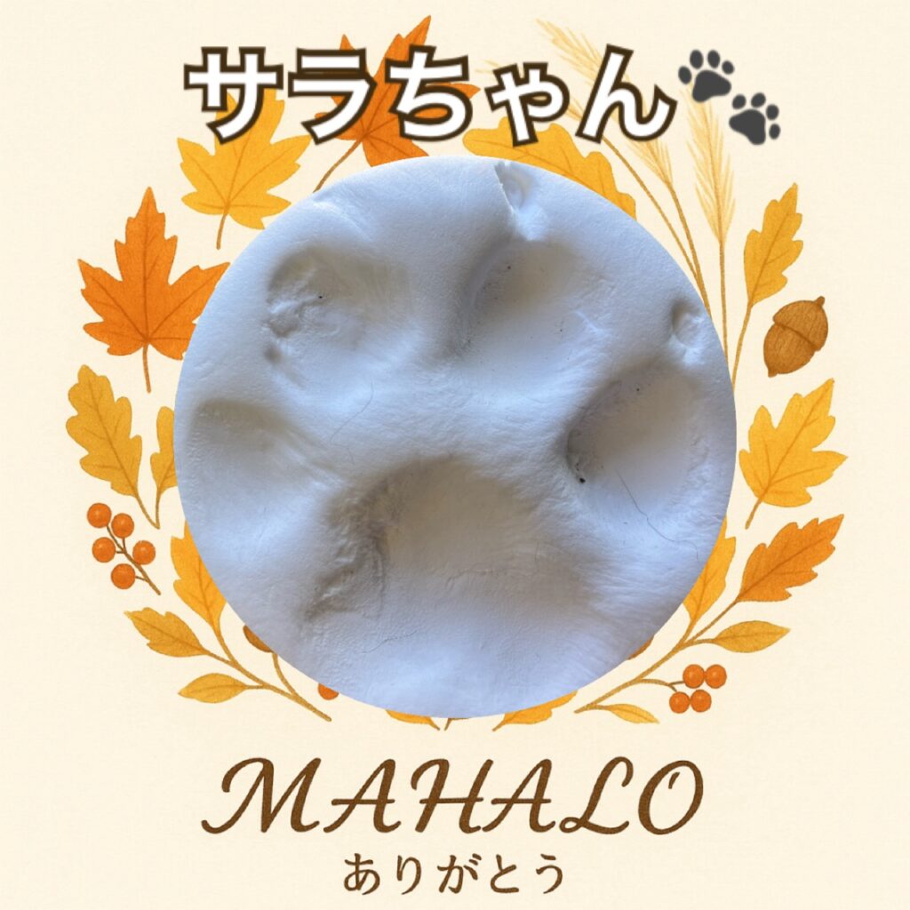 ボーダーコリー足型・手型