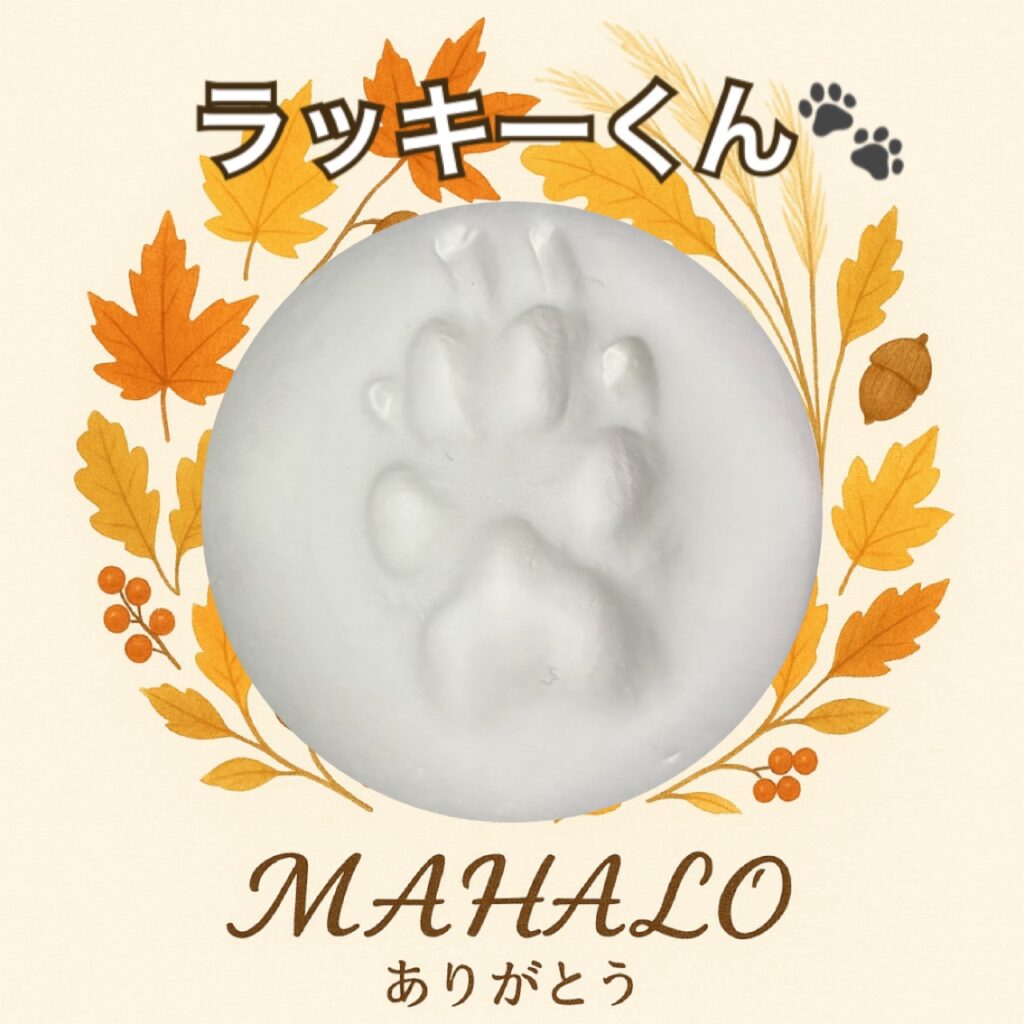 ポメラニアン足型・手型