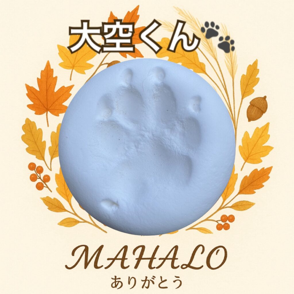 柴犬足型・手型