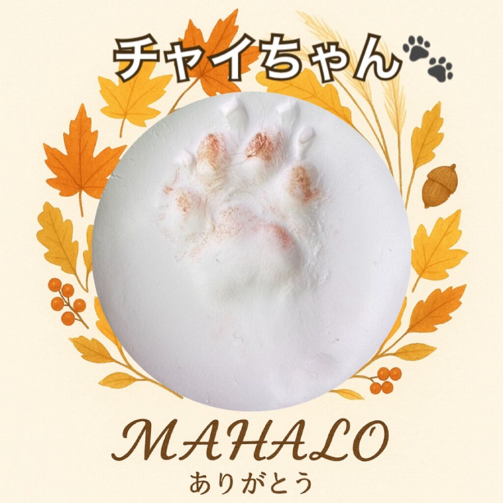 チワワ足型・手型