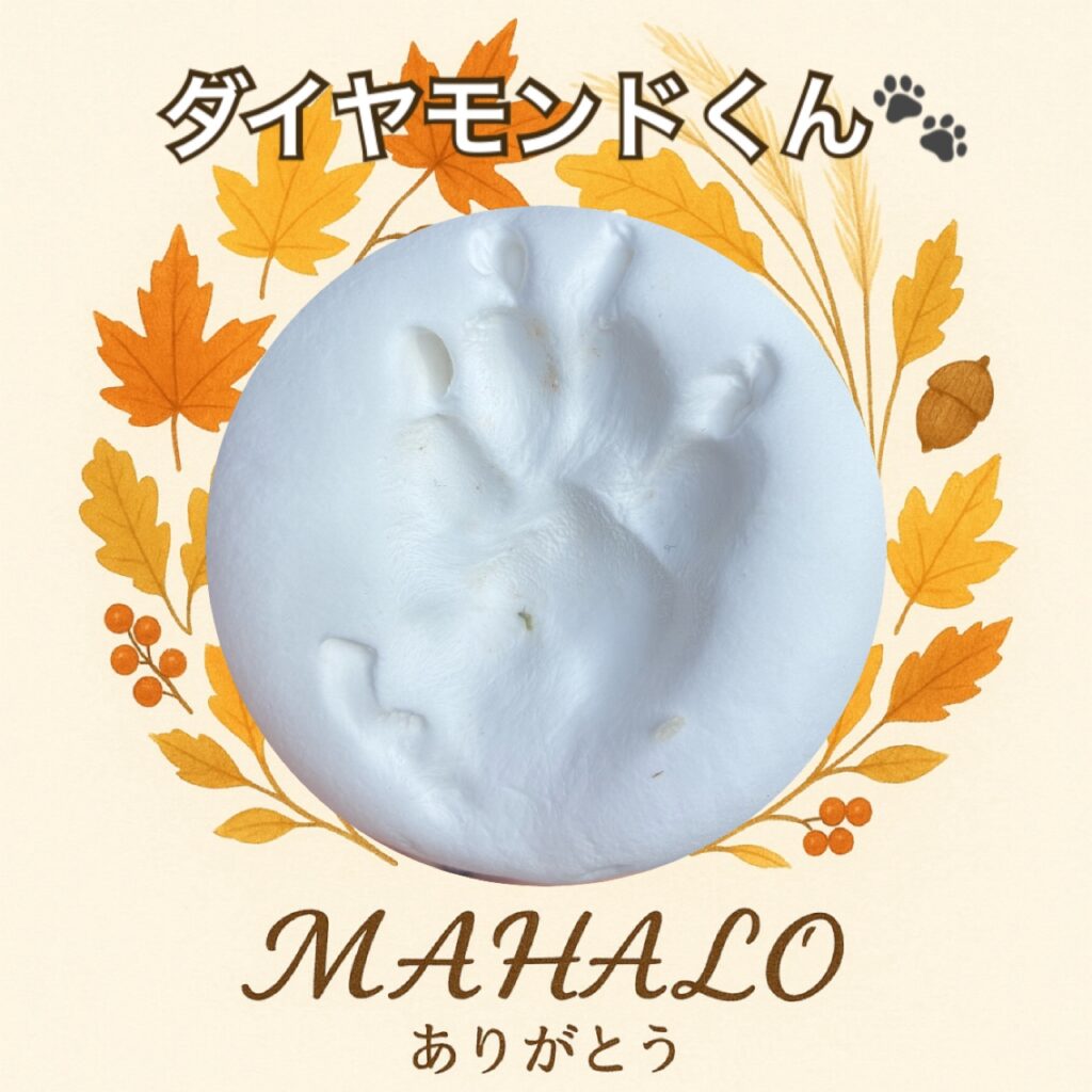 チワワ足型・手型