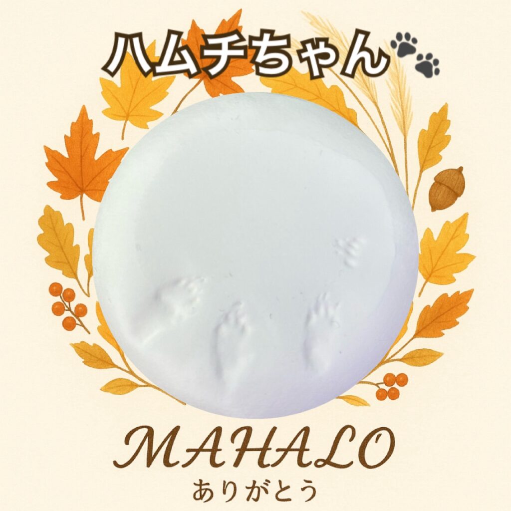 ハムスター足型・手型