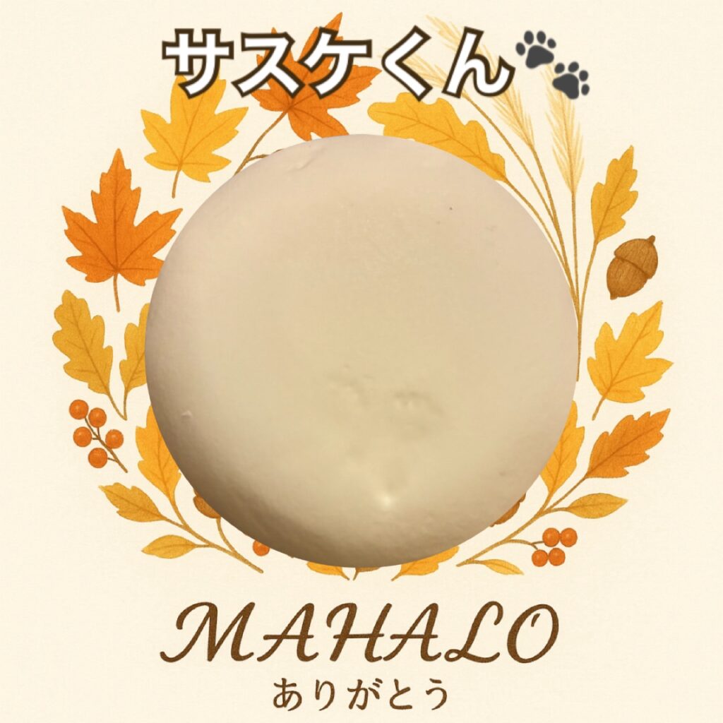 ハムスター足型・手型