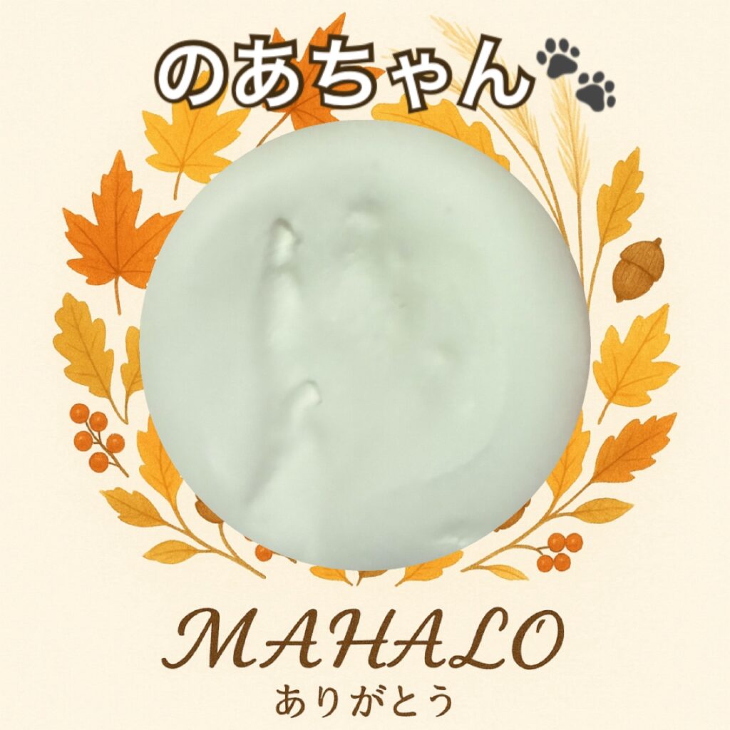 うさぎ足型・手型