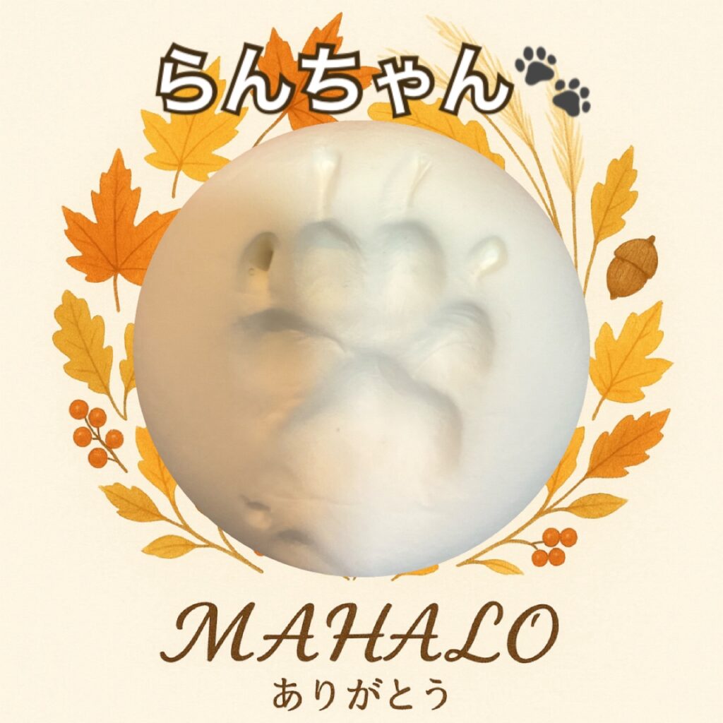 マルプー足型・手型