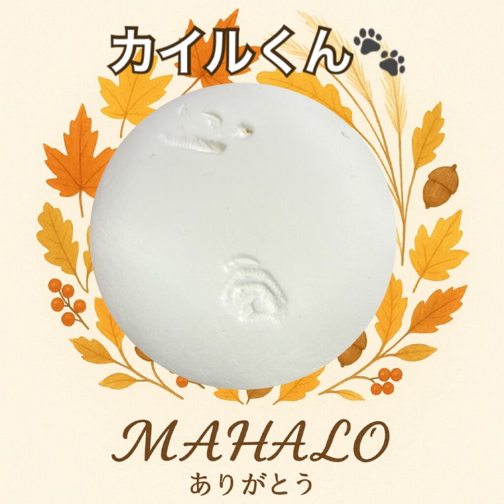 セキセイインコ足型・手型