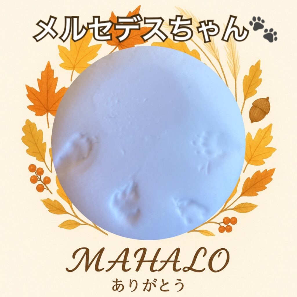 ハムスター足型・手型