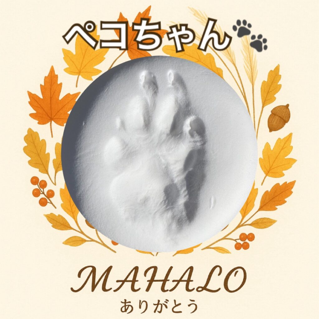 トイプードル足型・手型