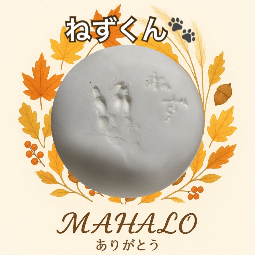 デグー足型・手型