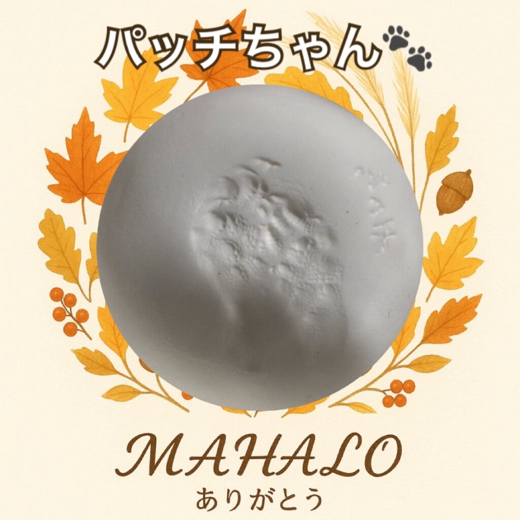 デグー足型・手型