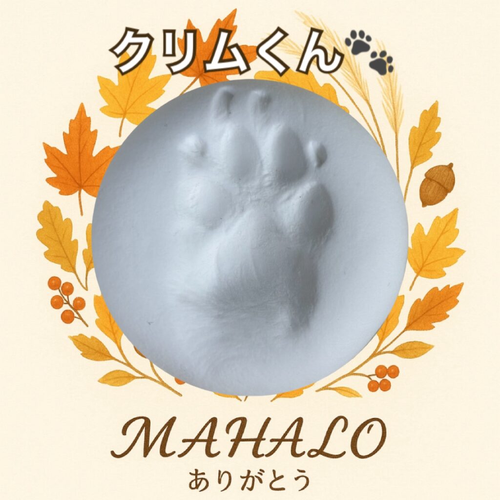 マルプー足型・手型