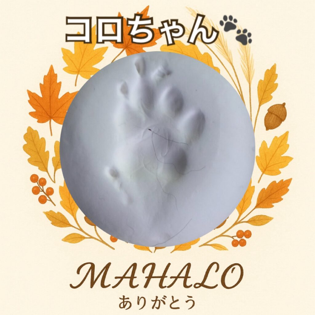 チワワ足型・手型