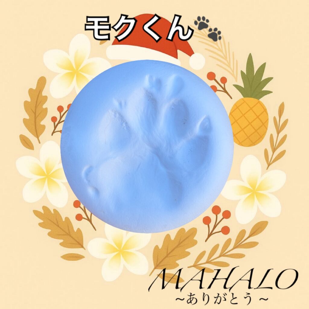 ミニチュアダックスフンド足型・手型