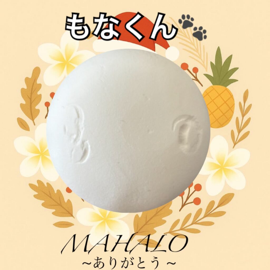 セキセイインコ足型・手型