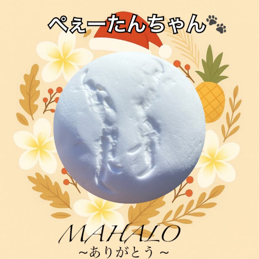 サザナミインコ足型・手型