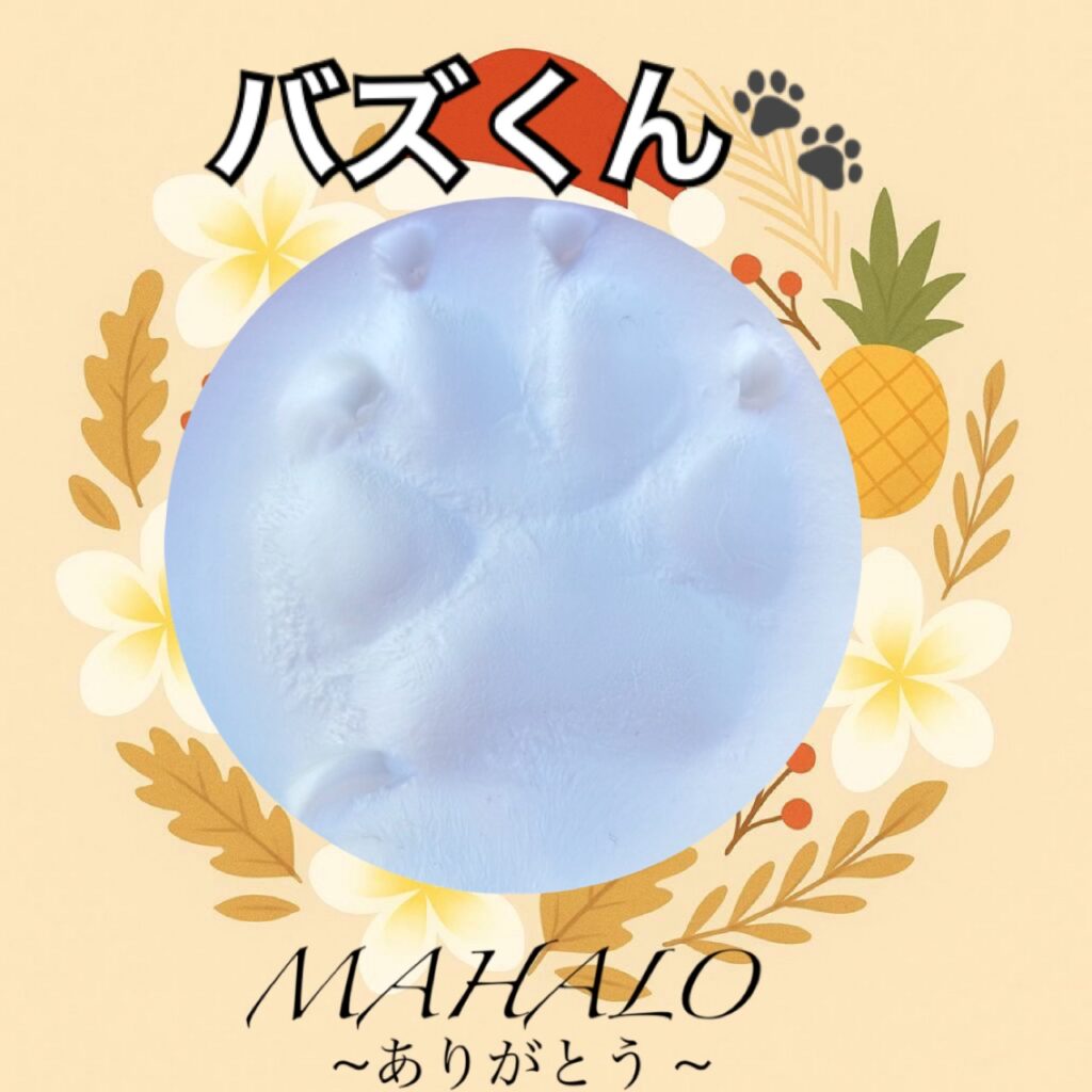 フレンチブルドック×パグ足型・手型