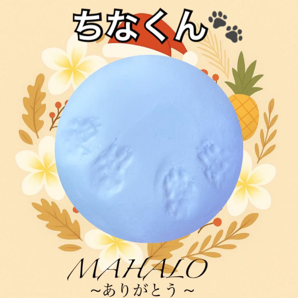 ハムスター足型・手型