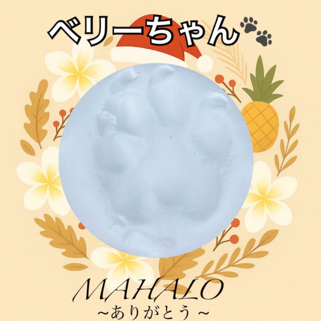 フレンチブルドッグ足型・手型