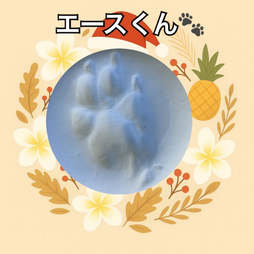 トイプードル足型・手型