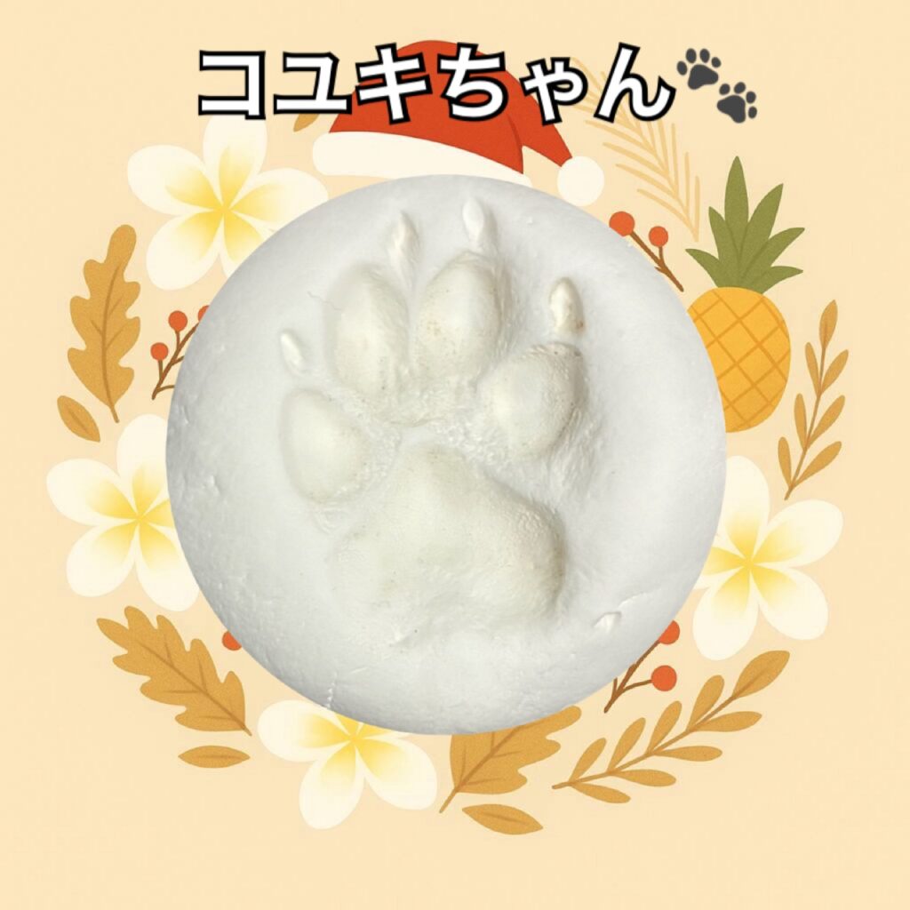 柴犬足型・手型