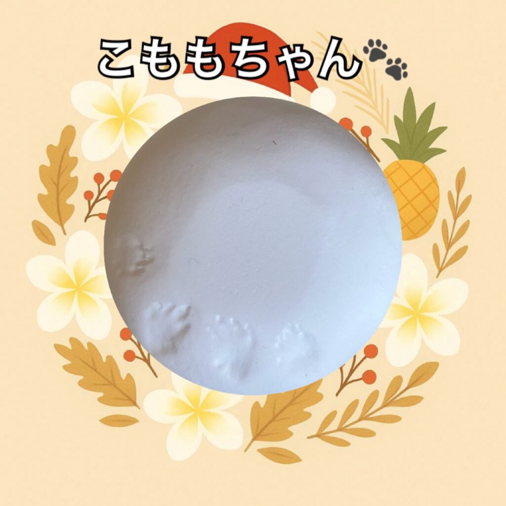 ジャンガリアンハムスター足型・手型