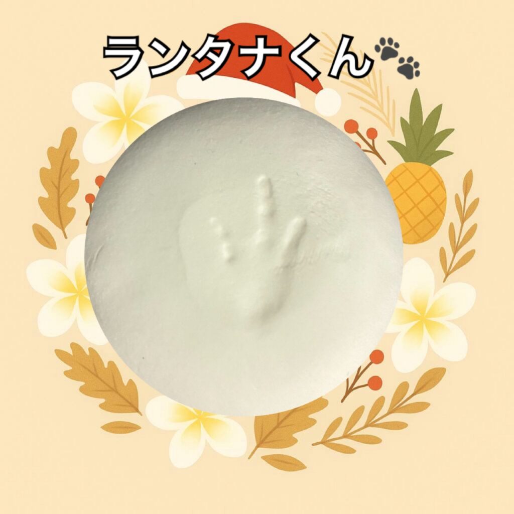 カエル足型・手型