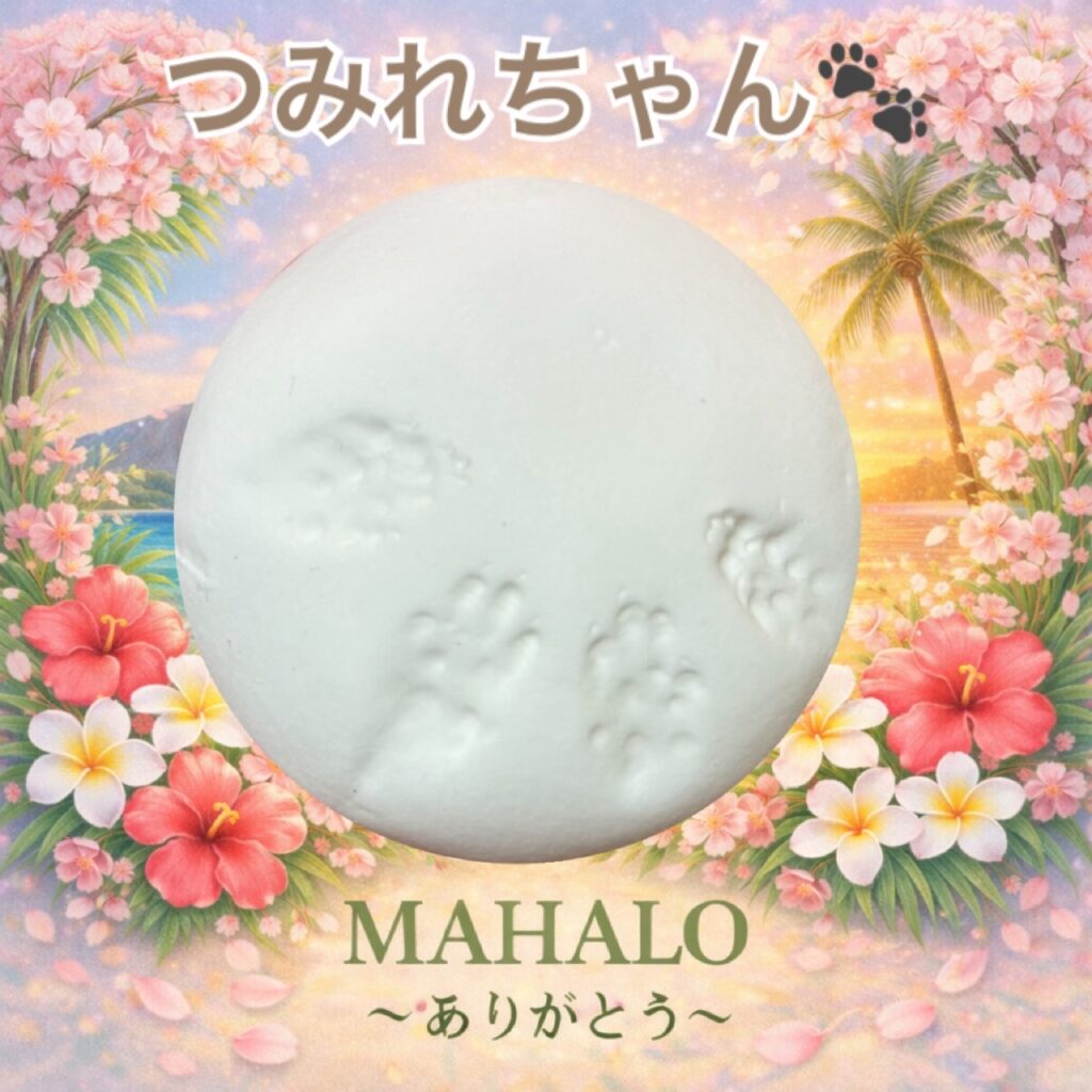 ゴールデンハムスターの足型投稿